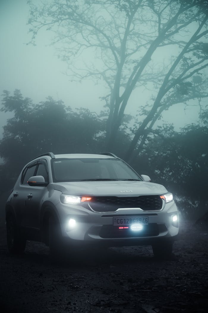 White SUV in a foggy forest during the day, creating a moody atmosphere.
