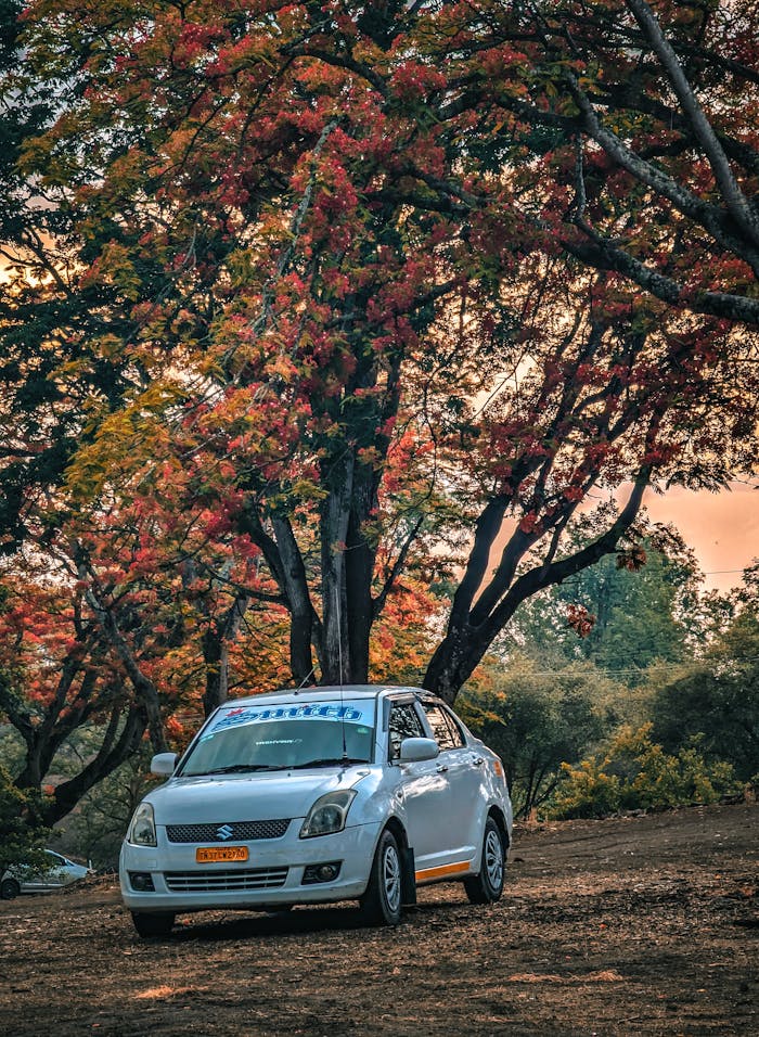 A white Suzuki car parked under vibrant autumn trees in rural Karnataka, India.