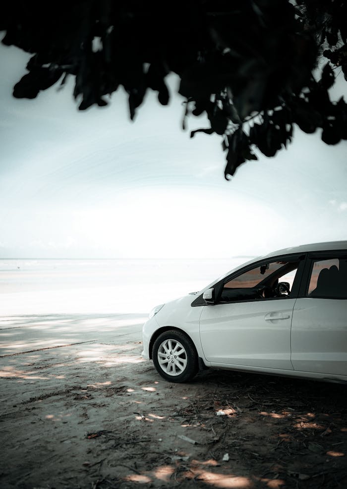A white car parked on a serene beach under overhanging tree branches, offering a peaceful coastal view.